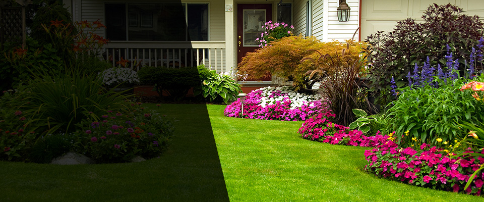 Wrentham Landscapers