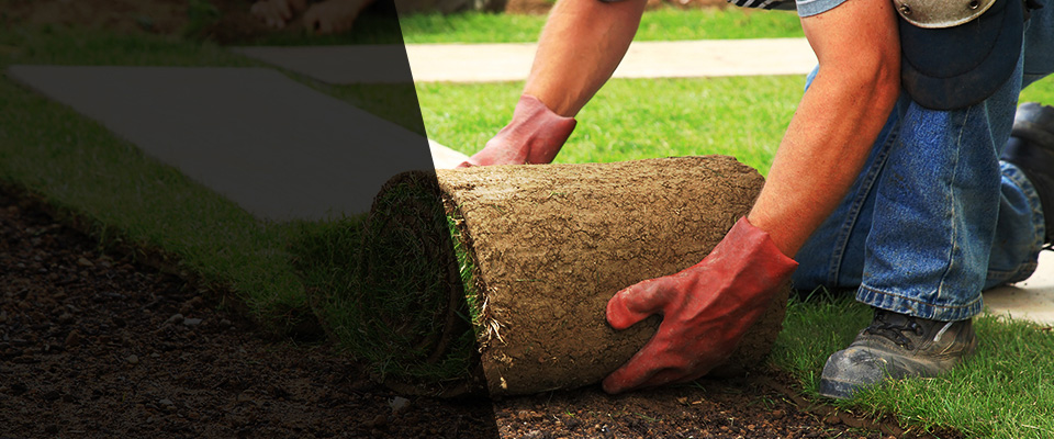 Wrentham Landscapers